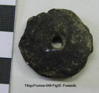 Cronica Cercetărilor Arheologice din România, Campania 2003. Raportul nr. 195, Târgu Frumos, Baza Pătule<br /><a href='CronicaCAfotografii/2003/195/TarguFrumos-046-Fig20.JPG' target=_blank>Priveşte aceeaşi imagine într-o fereastră nouă</a>