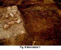 Cronica Cercetărilor Arheologice din România, Campania 2003. Raportul nr. 202, Ţaga, Baza Arheologică (Păşune)<br /><a href='CronicaCAfotografii/2003/202/Taga-08.jpg' target=_blank>Priveşte aceeaşi imagine într-o fereastră nouă</a>