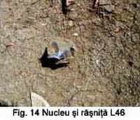 Cronica Cercetărilor Arheologice din România, Campania 2003. Raportul nr. 202, Ţaga, Baza Arheologică (Păşune)<br /><a href='CronicaCAfotografii/2003/202/Taga-14.jpg' target=_blank>Priveşte aceeaşi imagine într-o fereastră nouă</a>