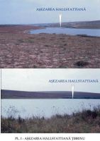 Cronica Cercetărilor Arheologice din România, Campania 2003. Raportul nr. 203, Ţibrinu, Lacul Ţibrinu<br /><a href='CronicaCAfotografii/2003/203/Tibrinu-1.jpg' target=_blank>Priveşte aceeaşi imagine într-o fereastră nouă</a>