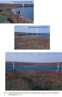 Cronica Cercetărilor Arheologice din România, Campania 2003. Raportul nr. 203, Ţibrinu, Lacul Ţibrinu<br /><a href='CronicaCAfotografii/2003/203/Tibrinu-2.jpg' target=_blank>Priveşte aceeaşi imagine într-o fereastră nouă</a>