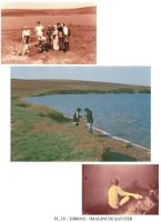 Cronica Cercetărilor Arheologice din România, Campania 2003. Raportul nr. 203, Ţibrinu, Lacul Ţibrinu<br /><a href='CronicaCAfotografii/2003/203/Tibrinu-4.jpg' target=_blank>Priveşte aceeaşi imagine într-o fereastră nouă</a>