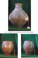 Cronica Cercetărilor Arheologice din România, Campania 2003. Raportul nr. 203, Ţibrinu, Lacul Ţibrinu<br /><a href='CronicaCAfotografii/2003/203/Tibrinu-6.jpg' target=_blank>Priveşte aceeaşi imagine într-o fereastră nouă</a>