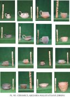 Cronica Cercetărilor Arheologice din România, Campania 2003. Raportul nr. 203, Ţibrinu, Lacul Ţibrinu<br /><a href='CronicaCAfotografii/2003/203/Tibrinu-7.jpg' target=_blank>Priveşte aceeaşi imagine într-o fereastră nouă</a>