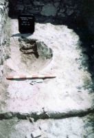 Chronicle of the Archaeological Excavations in Romania, 2004 Campaign. Report no. 1, Adamclisi, Cetate.<br /> Sector tumul.<br /><a href='CronicaCAfotografii/2004/001/rsz-29.jpg' target=_blank>Display the same picture in a new window</a>