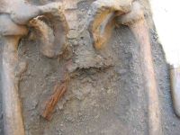 Cronica Cercetărilor Arheologice din România, Campania 2004. Raportul nr. 37, Babadag, Dealul Cetăţuia (La Cetăţuie)<br /><a href='CronicaCAfotografii/2004/037/rsz-11.jpg' target=_blank>Priveşte aceeaşi imagine într-o fereastră nouă</a>