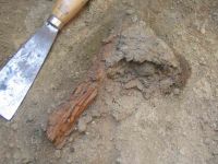 Cronica Cercetărilor Arheologice din România, Campania 2004. Raportul nr. 37, Babadag, Dealul Cetăţuia (La Cetăţuie)<br /><a href='CronicaCAfotografii/2004/037/rsz-2.jpg' target=_blank>Priveşte aceeaşi imagine într-o fereastră nouă</a>