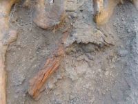 Cronica Cercetărilor Arheologice din România, Campania 2004. Raportul nr. 37, Babadag, Dealul Cetăţuia (La Cetăţuie)<br /><a href='CronicaCAfotografii/2004/037/rsz-4.jpg' target=_blank>Priveşte aceeaşi imagine într-o fereastră nouă</a>