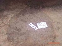 Cronica Cercetărilor Arheologice din România, Campania 2004. Raportul nr. 42, Bălţata, La Moviliţă (Între Bălţaţi)<br /><a href='CronicaCAfotografii/2004/042/rsz-0.jpg' target=_blank>Priveşte aceeaşi imagine într-o fereastră nouă</a>