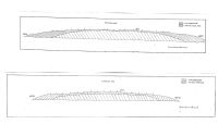 Chronicle of the Archaeological Excavations in Romania, 2004 Campaign. Report no. 46, Blejoi<br /><a href='CronicaCAfotografii/2004/046/rsz-7.jpg' target=_blank>Display the same picture in a new window</a>