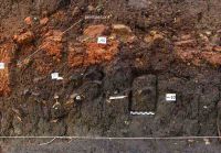 Cronica Cercetărilor Arheologice din România, Campania 2004. Raportul nr. 53, Bucşani, La Pod<br /><a href='CronicaCAfotografii/2004/053/rsz-2.jpg' target=_blank>Priveşte aceeaşi imagine într-o fereastră nouă</a>