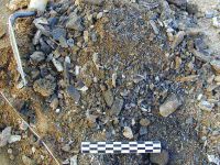 Cronica Cercetărilor Arheologice din România, Campania 2004. Raportul nr. 53, Bucşani, La Pod<br /><a href='CronicaCAfotografii/2004/053/rsz-5.jpg' target=_blank>Priveşte aceeaşi imagine într-o fereastră nouă</a>