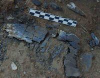 Cronica Cercetărilor Arheologice din România, Campania 2004. Raportul nr. 53, Bucşani, La Pod<br /><a href='CronicaCAfotografii/2004/053/rsz-6.jpg' target=_blank>Priveşte aceeaşi imagine într-o fereastră nouă</a>