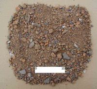 Cronica Cercetărilor Arheologice din România, Campania 2004. Raportul nr. 53, Bucşani, La Pod<br /><a href='CronicaCAfotografii/2004/053/rsz-7.jpg' target=_blank>Priveşte aceeaşi imagine într-o fereastră nouă</a>