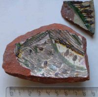 Cronica Cercetărilor Arheologice din România, Campania 2004. Raportul nr. 67, Câmpulung, Mânăstirea Negru Vodă<br /><a href='CronicaCAfotografii/2004/067/rsz-8.jpg' target=_blank>Priveşte aceeaşi imagine într-o fereastră nouă</a>