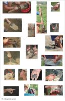 Chronicle of the Archaeological Excavations in Romania, 2004 Campaign. Report no. 73, Cheia, Vatra satului.<br /> Sector ILUSTRATIE-CHEIA-2017.<br /><a href='CronicaCAfotografii/2004/073/rsz-7.jpg' target=_blank>Display the same picture in a new window</a>