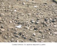 Cronica Cercetărilor Arheologice din România, Campania 2004. Raportul nr. 82, Costişa, Dealul Cetăţuia<br /><a href='CronicaCAfotografii/2004/082/rsz-0.jpg' target=_blank>Priveşte aceeaşi imagine într-o fereastră nouă</a>