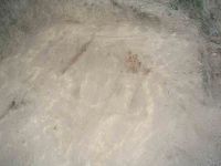 Cronica Cercetărilor Arheologice din România, Campania 2004. Raportul nr. 93, Enisala, La Biserică (Lutărie)<br /><a href='CronicaCAfotografii/2004/093/rsz-16.jpg' target=_blank>Priveşte aceeaşi imagine într-o fereastră nouă</a>