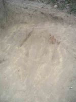 Cronica Cercetărilor Arheologice din România, Campania 2004. Raportul nr. 93, Enisala, La Biserică (Lutărie)<br /><a href='CronicaCAfotografii/2004/093/rsz-17.jpg' target=_blank>Priveşte aceeaşi imagine într-o fereastră nouă</a>