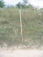 Cronica Cercetărilor Arheologice din România, Campania 2004. Raportul nr. 93, Enisala, La Biserică (Lutărie)<br /><a href='CronicaCAfotografii/2004/093/rsz-9.jpg' target=_blank>Priveşte aceeaşi imagine într-o fereastră nouă</a>