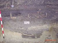 Cronica Cercetărilor Arheologice din România, Campania 2004. Raportul nr. 100, Fulgeriş, La Trei Cireşi (Dealul Fulgeriş).<br /> Sectorul Ilustratie.<br /><a href='CronicaCAfotografii/2004/100/rsz-1.jpg' target=_blank>Priveşte aceeaşi imagine într-o fereastră nouă</a>