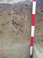 Cronica Cercetărilor Arheologice din România, Campania 2004. Raportul nr. 100, Fulgeriş, La Trei Cireşi (Dealul Fulgeriş).<br /> Sectorul Ilustratie.<br /><a href='CronicaCAfotografii/2004/100/rsz-6.jpg' target=_blank>Priveşte aceeaşi imagine într-o fereastră nouă</a>