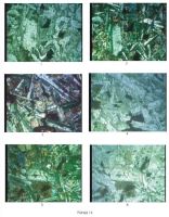 Cronica Cercetărilor Arheologice din România, Campania 2004. Raportul nr. 123, Isaiia, Balta Popii<br /><a href='CronicaCAfotografii/2004/123/rsz-13.jpg' target=_blank>Priveşte aceeaşi imagine într-o fereastră nouă</a>