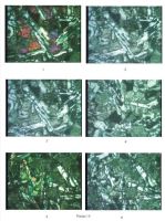 Cronica Cercetărilor Arheologice din România, Campania 2004. Raportul nr. 123, Isaiia, Balta Popii<br /><a href='CronicaCAfotografii/2004/123/rsz-14.jpg' target=_blank>Priveşte aceeaşi imagine într-o fereastră nouă</a>