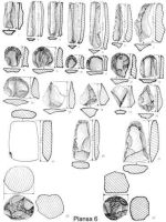 Cronica Cercetărilor Arheologice din România, Campania 2004. Raportul nr. 123, Isaiia, Balta Popii<br /><a href='CronicaCAfotografii/2004/123/rsz-5.jpg' target=_blank>Priveşte aceeaşi imagine într-o fereastră nouă</a>