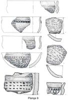 Cronica Cercetărilor Arheologice din România, Campania 2004. Raportul nr. 123, Isaiia, Balta Popii<br /><a href='CronicaCAfotografii/2004/123/rsz-8.jpg' target=_blank>Priveşte aceeaşi imagine într-o fereastră nouă</a>