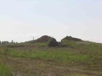 Cronica Cercetărilor Arheologice din România, Campania 2004. Raportul nr. 139, Mangalia<br /><a href='CronicaCAfotografii/2004/139/rsz-0.jpg' target=_blank>Priveşte aceeaşi imagine într-o fereastră nouă</a>