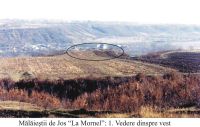 Cronica Cercetărilor Arheologice din România, Campania 2004. Raportul nr. 147, Mălăeştii De Jos, La Mornel<br /><a href='CronicaCAfotografii/2004/147/rsz-0.jpg' target=_blank>Priveşte aceeaşi imagine într-o fereastră nouă</a>