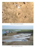 Chronicle of the Archaeological Excavations in Romania, 2004 Campaign. Report no. 148, Belciugatele<br /><a href='CronicaCAfotografii/2004/148/rsz-0.jpg' target=_blank>Display the same picture in a new window</a>