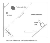 Chronicle of the Archaeological Excavations in Romania, 2004 Campaign. Report no. 152, Mitoc, Valea Izvorului (La Izvor; Dealul Sărăturii)<br /><a href='CronicaCAfotografii/2004/152/rsz-0.jpg' target=_blank>Display the same picture in a new window</a>