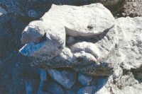 Cronica Cercetărilor Arheologice din România, Campania 2004. Raportul nr. 163, Pantelimon, Cetate<br /><a href='CronicaCAfotografii/2004/163/rsz-20.jpg' target=_blank>Priveşte aceeaşi imagine într-o fereastră nouă</a>