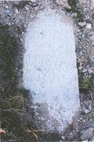 Cronica Cercetărilor Arheologice din România, Campania 2004. Raportul nr. 163, Pantelimon, Cetate<br /><a href='CronicaCAfotografii/2004/163/rsz-22.jpg' target=_blank>Priveşte aceeaşi imagine într-o fereastră nouă</a>