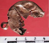 Cronica Cercetărilor Arheologice din România, Campania 2004. Raportul nr. 163, Pantelimon, Cetate<br /><a href='CronicaCAfotografii/2004/163/rsz-24.jpg' target=_blank>Priveşte aceeaşi imagine într-o fereastră nouă</a>