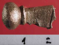 Cronica Cercetărilor Arheologice din România, Campania 2004. Raportul nr. 163, Pantelimon, Cetate<br /><a href='CronicaCAfotografii/2004/163/rsz-25.jpg' target=_blank>Priveşte aceeaşi imagine într-o fereastră nouă</a>