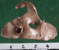 Cronica Cercetărilor Arheologice din România, Campania 2004. Raportul nr. 163, Pantelimon, Cetate<br /><a href='CronicaCAfotografii/2004/163/rsz-26.jpg' target=_blank>Priveşte aceeaşi imagine într-o fereastră nouă</a>