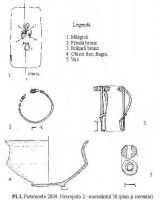 Chronicle of the Archaeological Excavations in Romania, 2004 Campaign. Report no. 172, Pietroasele, Via Buculei<br /><a href='CronicaCAfotografii/2004/172/rsz-0.jpg' target=_blank>Display the same picture in a new window</a>