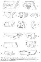 Chronicle of the Archaeological Excavations in Romania, 2004 Campaign. Report no. 172, Pietroasele, Via Buculei<br /><a href='CronicaCAfotografii/2004/172/rsz-1.jpg' target=_blank>Display the same picture in a new window</a>