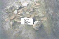 Cronica Cercetărilor Arheologice din România, Campania 2004. Raportul nr. 183, Răducăneni, Bâzga (Cetăţuie, Dealului Socilor)<br /><a href='CronicaCAfotografii/2004/183/rsz-2.jpg' target=_blank>Priveşte aceeaşi imagine într-o fereastră nouă</a>