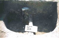 Cronica Cercetărilor Arheologice din România, Campania 2004. Raportul nr. 183, Răducăneni, Bâzga (Cetăţuie, Dealului Socilor)<br /><a href='CronicaCAfotografii/2004/183/rsz-3.jpg' target=_blank>Priveşte aceeaşi imagine într-o fereastră nouă</a>