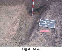 Chronicle of the Archaeological Excavations in Romania, 2004 Campaign. Report no. 189, Roşia Montană, Tăul Secuilor (Pârâul Porcului)<br /><a href='CronicaCAfotografii/2004/189/rsz-32.jpg' target=_blank>Display the same picture in a new window</a>