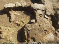 Cronica Cercetărilor Arheologice din România, Campania 2004. Raportul nr. 191, Ruginoasa, Dealul Drăghici<br /><a href='CronicaCAfotografii/2004/191/rsz-7.jpg' target=_blank>Priveşte aceeaşi imagine într-o fereastră nouă</a>