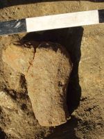 Cronica Cercetărilor Arheologice din România, Campania 2004. Raportul nr. 191, Ruginoasa, Dealul Drăghici<br /><a href='CronicaCAfotografii/2004/191/rsz-8.jpg' target=_blank>Priveşte aceeaşi imagine într-o fereastră nouă</a>