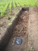 Cronica Cercetărilor Arheologice din România, Campania 2004. Raportul nr. 198, Scânteia, La Nuci (Dealul Bodeştilor).<br /> Sectorul Rezerve.<br /><a href='CronicaCAfotografii/2004/198/rsz-8.jpg' target=_blank>Priveşte aceeaşi imagine într-o fereastră nouă</a>