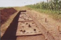 Chronicle of the Archaeological Excavations in Romania, 2004 Campaign. Report no. 206, Siret, Dealul Ruina<br /><a href='CronicaCAfotografii/2004/206/rsz-24.jpg' target=_blank>Display the same picture in a new window</a>