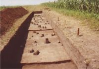 Chronicle of the Archaeological Excavations in Romania, 2004 Campaign. Report no. 206, Siret, Dealul Ruina<br /><a href='CronicaCAfotografii/2004/206/rsz-25.jpg' target=_blank>Display the same picture in a new window</a>