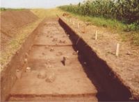 Chronicle of the Archaeological Excavations in Romania, 2004 Campaign. Report no. 206, Siret, Dealul Ruina<br /><a href='CronicaCAfotografii/2004/206/rsz-32.jpg' target=_blank>Display the same picture in a new window</a>